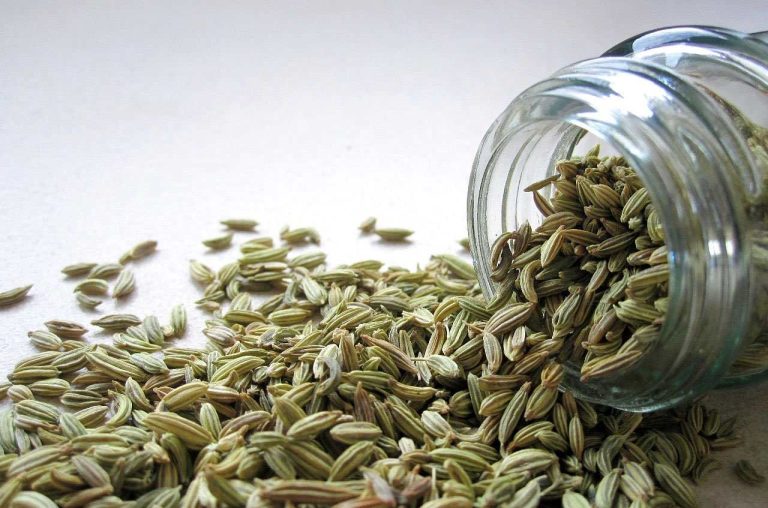 Top 15 Benefits of Fennel Seeds