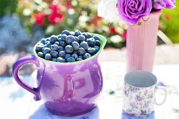 blueberries-summer-fruit-fresh