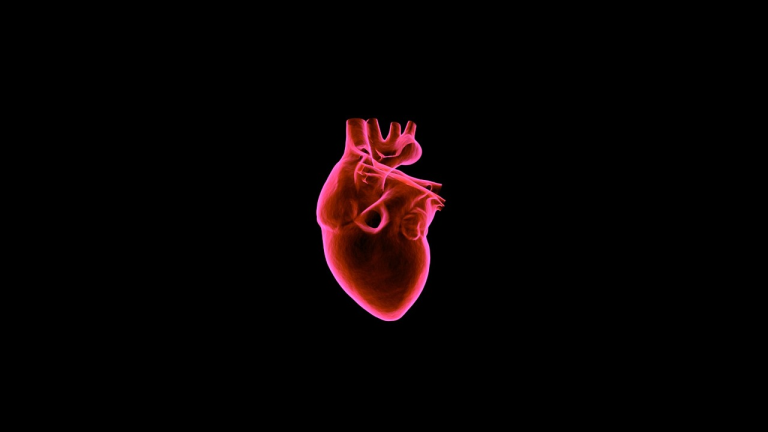 Top 7 evidence-based methods to protect your heart