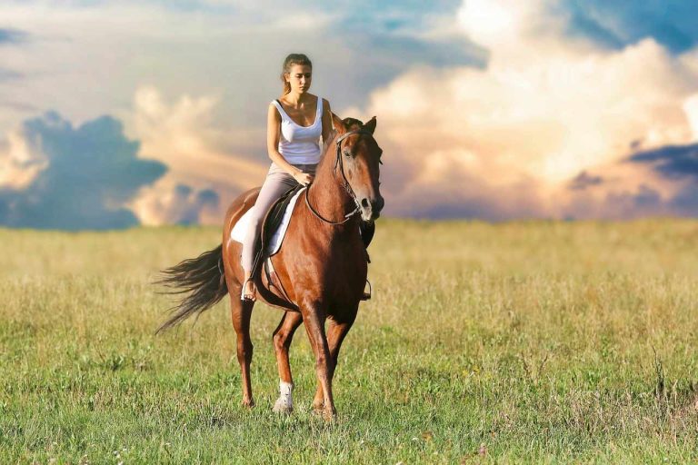 Woman riding a horse