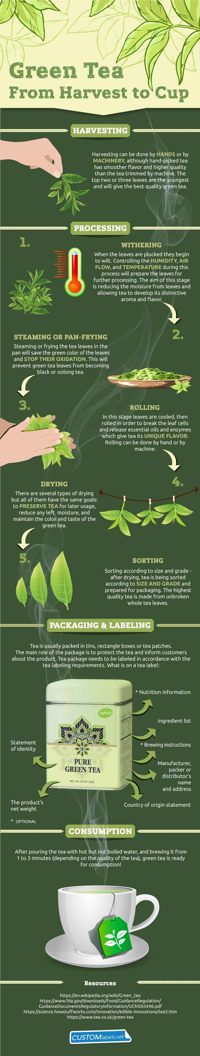 Green tea production journey from harvest to cup (infographic)